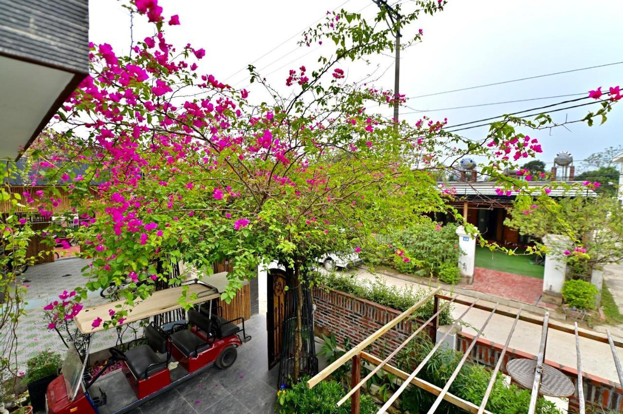Coto Center Homestay داو كو تو المظهر الخارجي الصورة